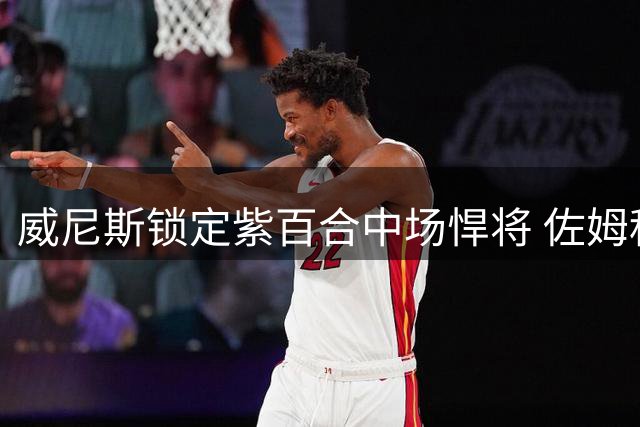 威尼斯锁定紫百合中场悍将 佐姆租借加盟含千万欧元买断条款