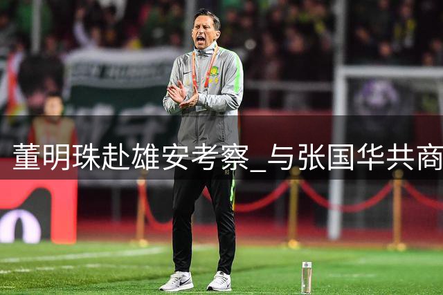 董明珠赴雄安考察 与张国华共商合作发展