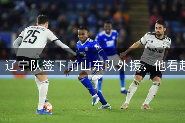 辽宁队签下前山东队外援，他看起来能力不错，但是可能有致命短板